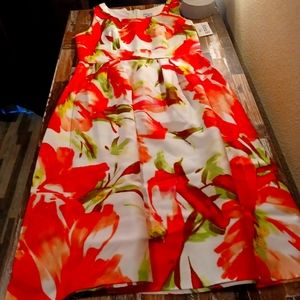 This Beautiful Dress